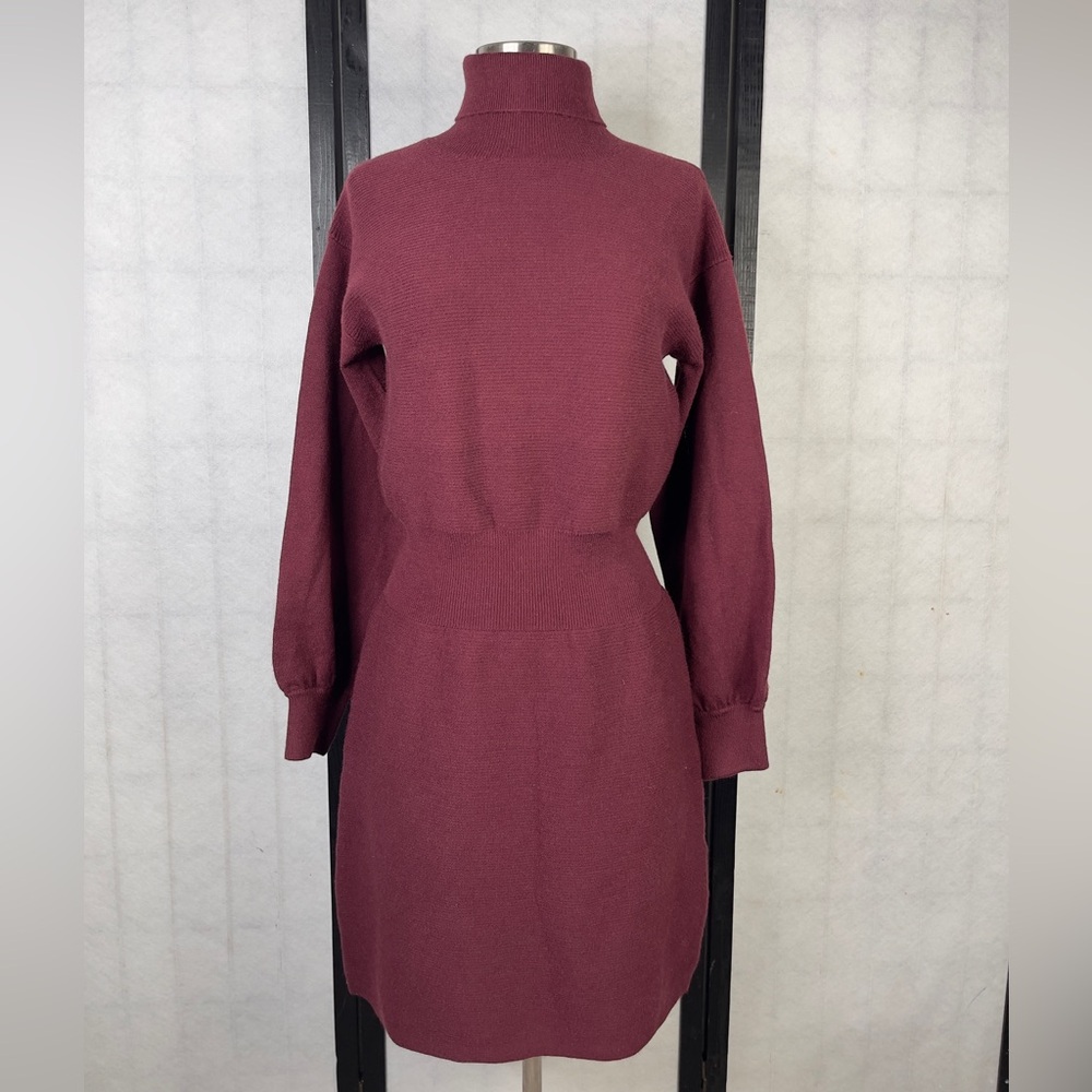 Modern Citizen Maroon Long Sleeve Dress